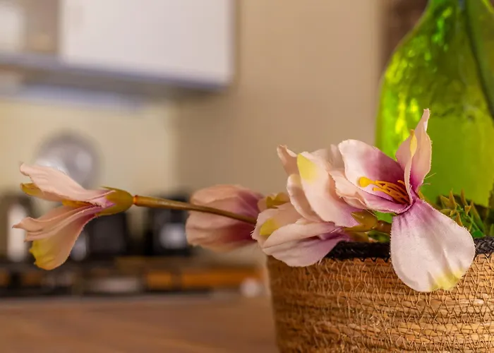 Iflat Peaceful With Terrace Next To Vatican *